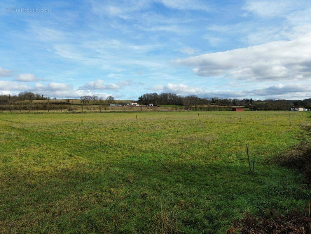 Terrain à SAUVETERRE-DE-BEARN