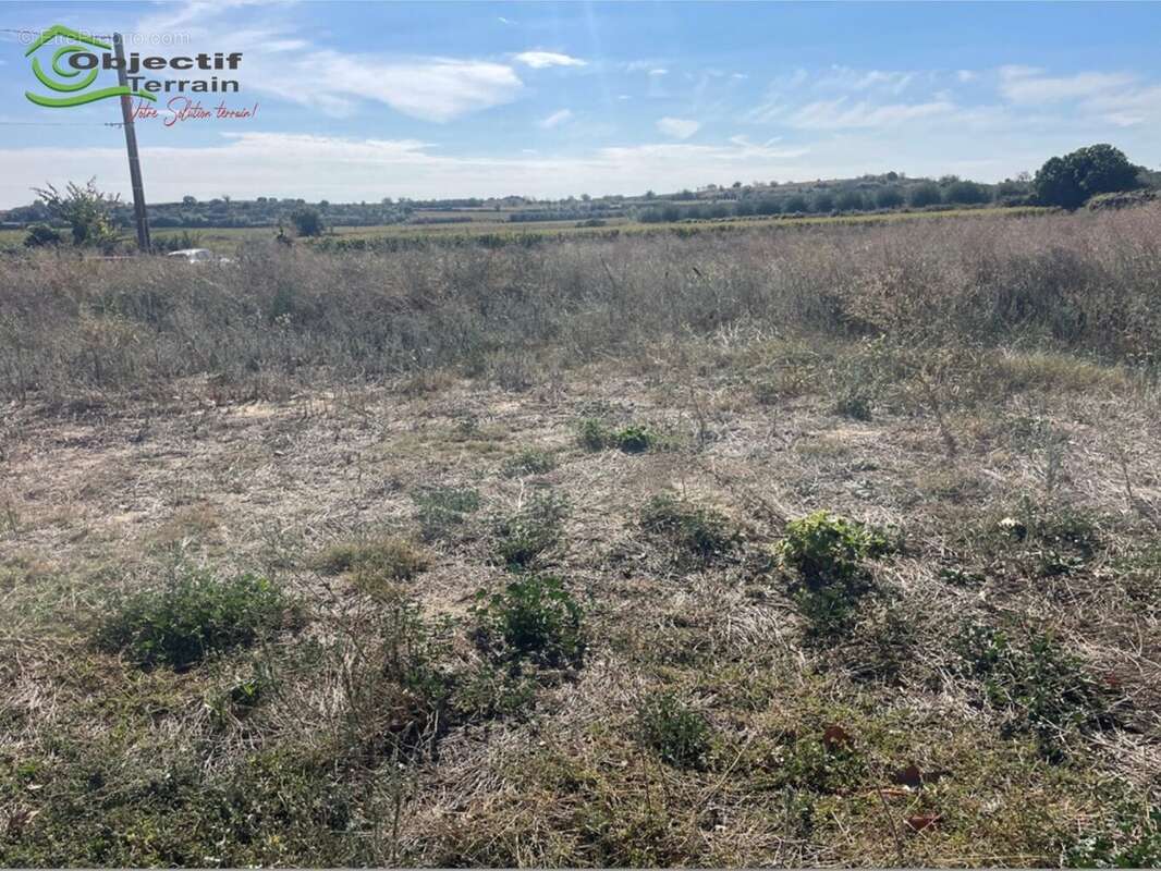 Terrain à POUZOLLES