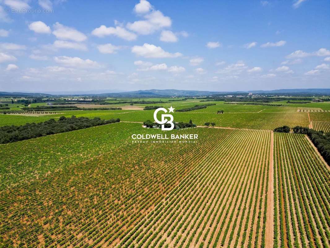 Maison à SAINTE-CECILE-LES-VIGNES