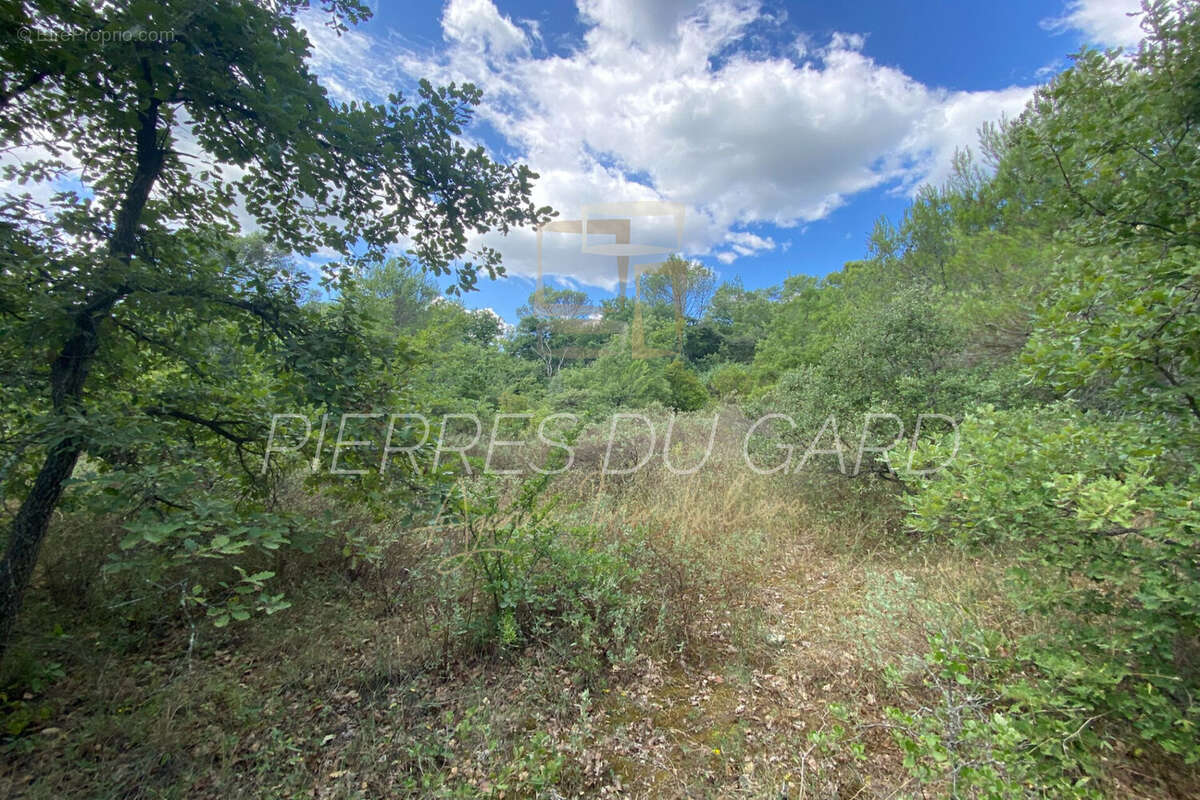 Terrain 8898 m² à Sabran  - photo 4