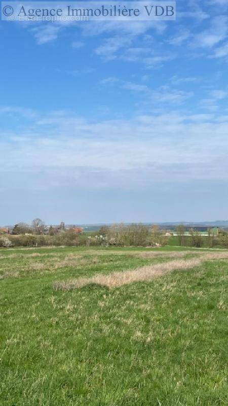 A vendre terrain constructible à HARAUCOURT - photo 3