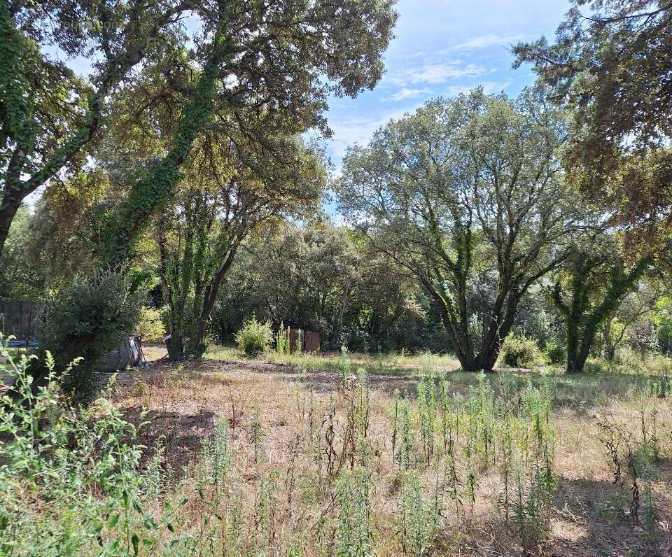 Terrain à VILLEVIEILLE