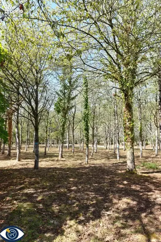 Terrain 29 107 m² à vendre à Vaiges (53480) - photo 4