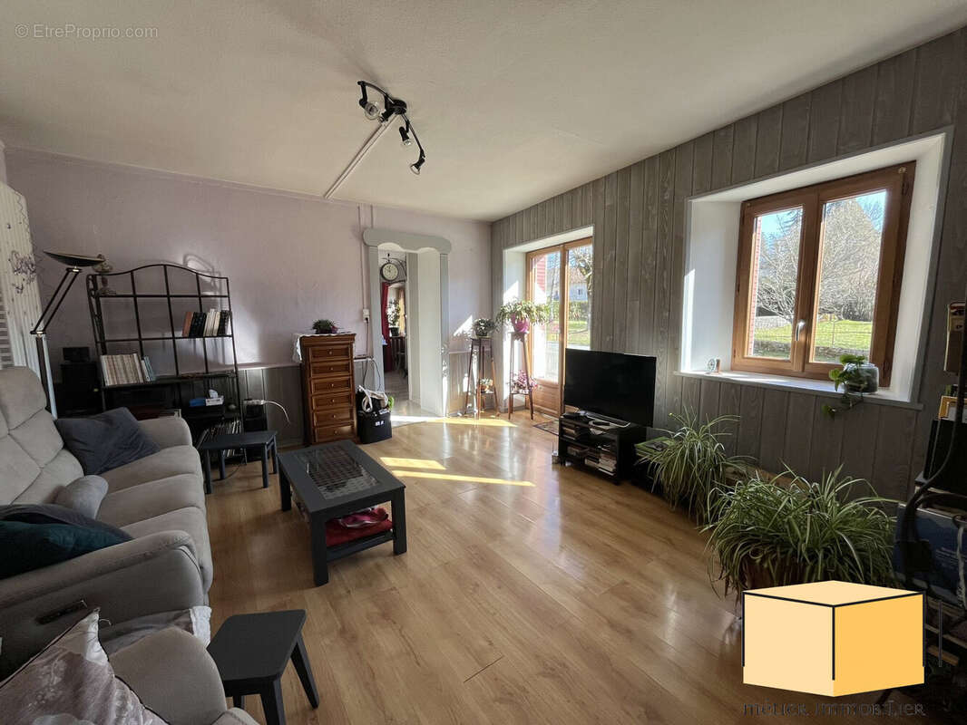 Maison à VIRIEU-LE-PETIT