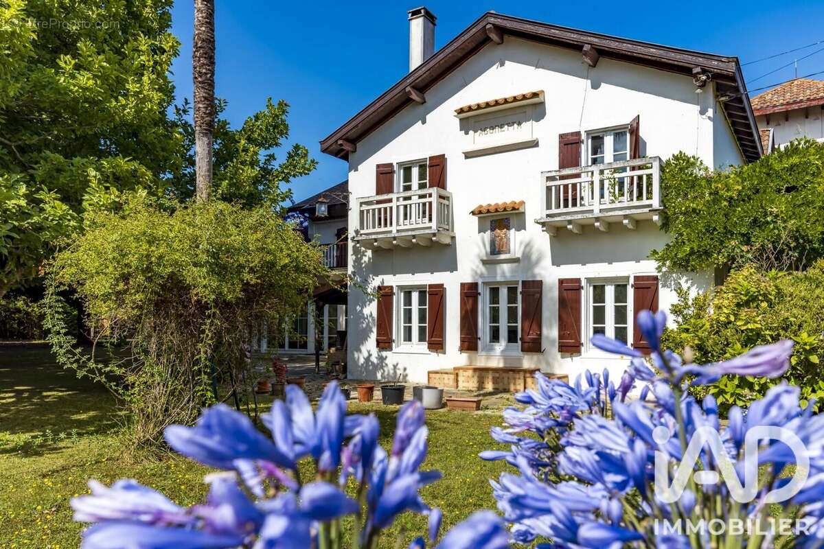 Maison 378 m² à Arcangues  - photo 2