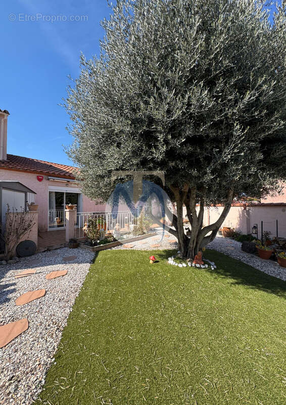 Maison à CORNEILLA-LA-RIVIERE