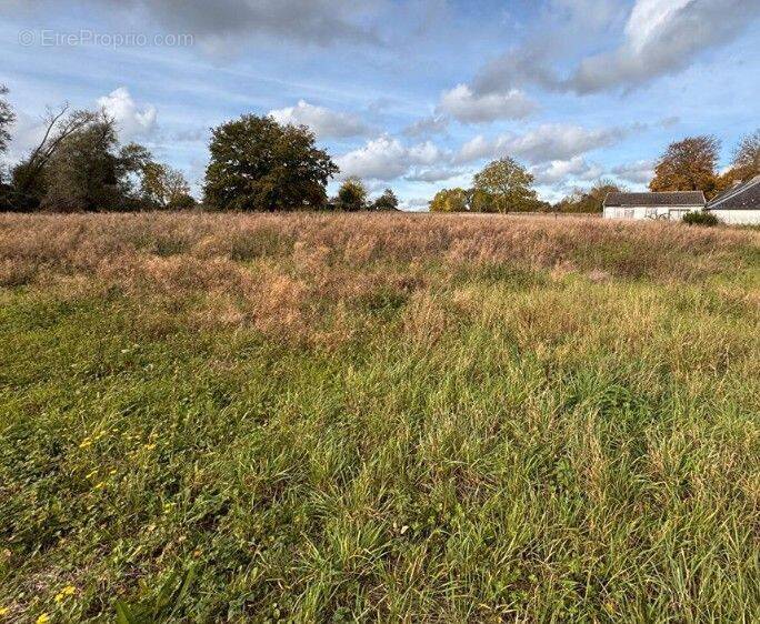 Terrain à SERMAIZE