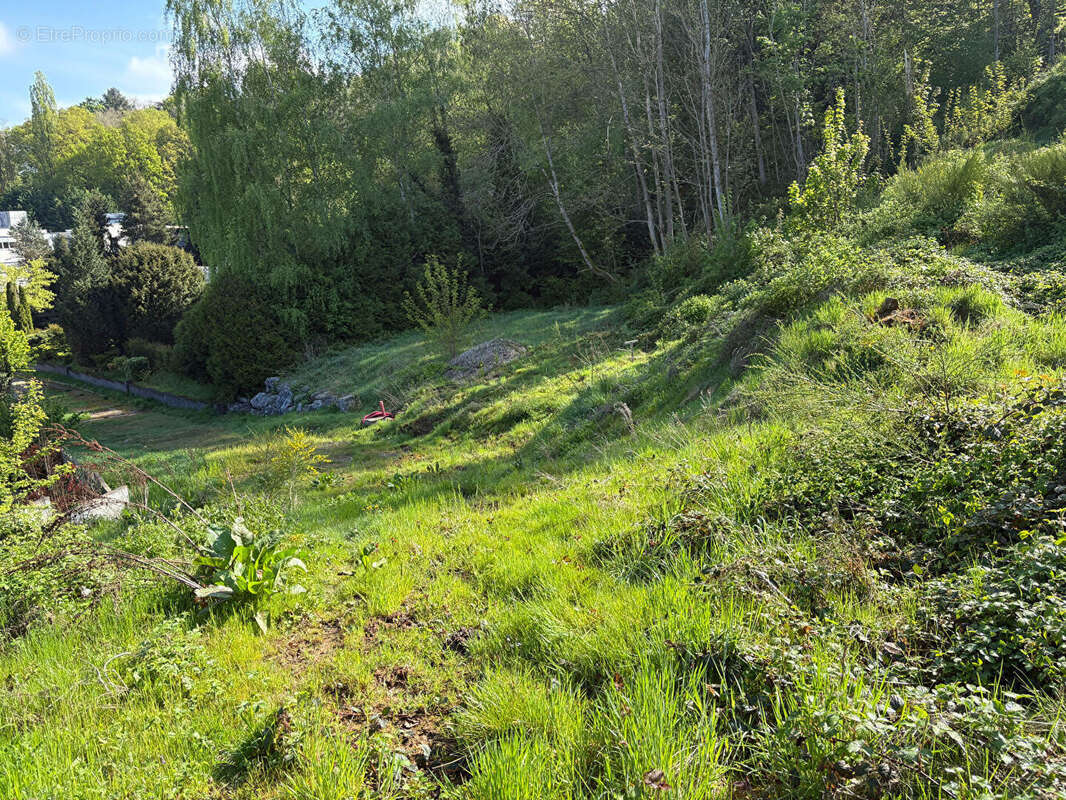 Terrain Saint Avold 3801 m2 - photo 13
