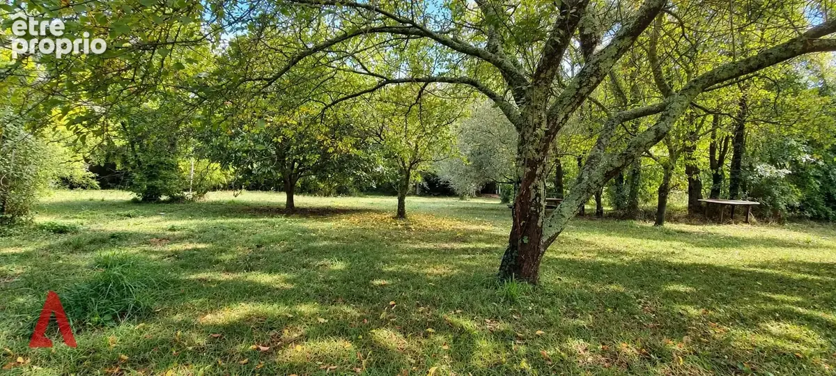 Cadre exceptionnel  Maison lumineuse avec vue, parc en bord de rivière - photo 7