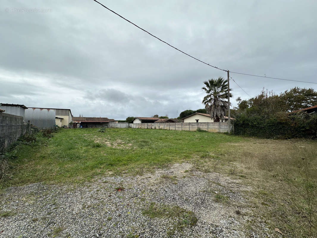 Terrain à LA TESTE-DE-BUCH