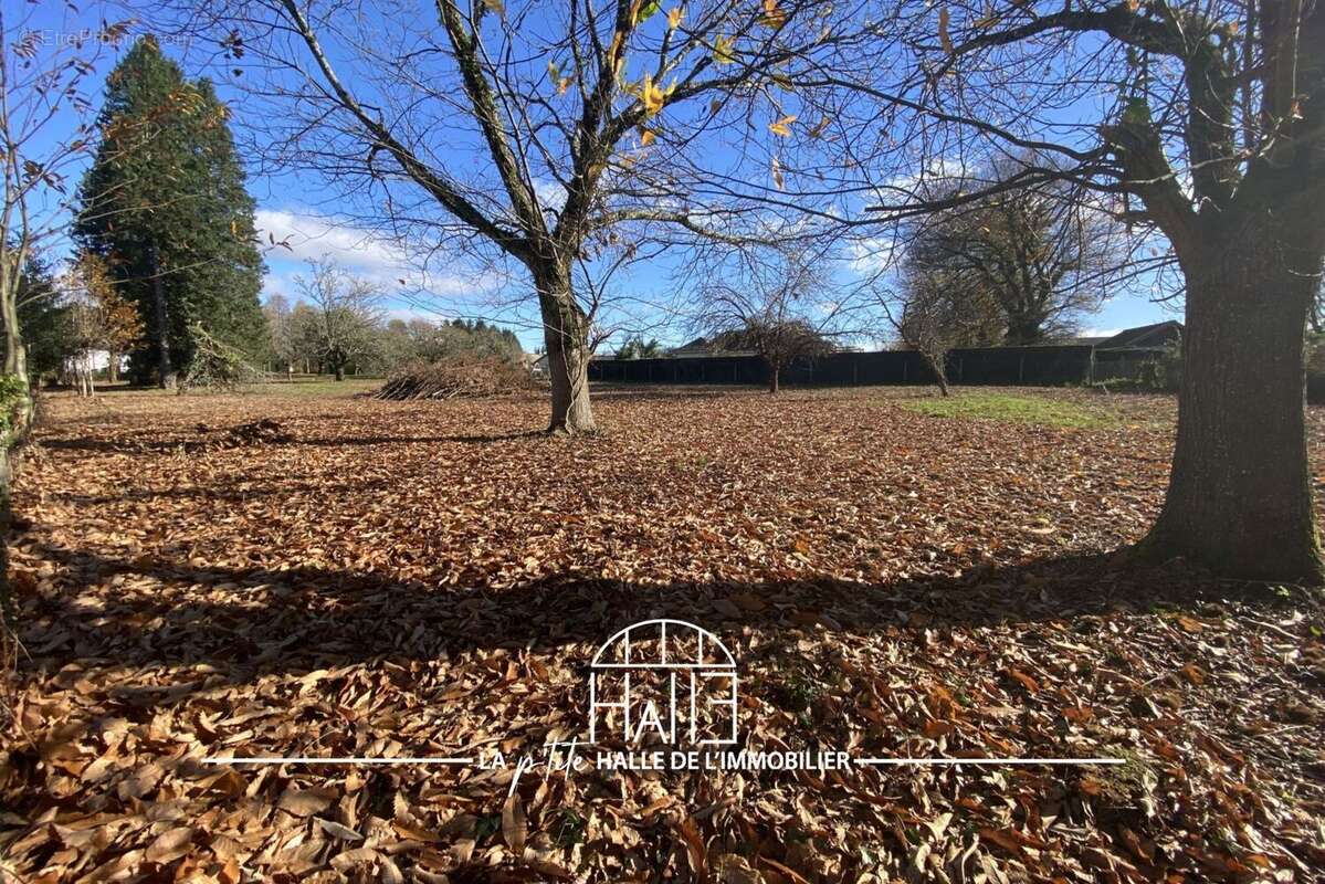 Terrain à COUZEIX
