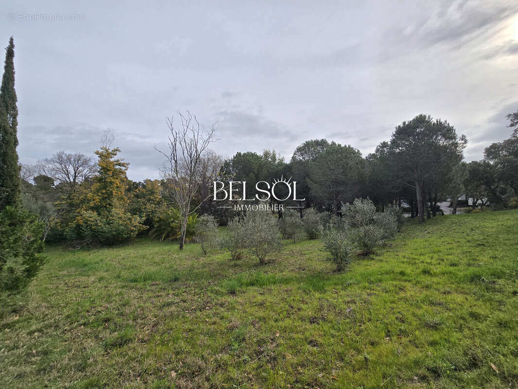 Terrain 4107 m² à Argeles-Sur-Mer  - photo 3
