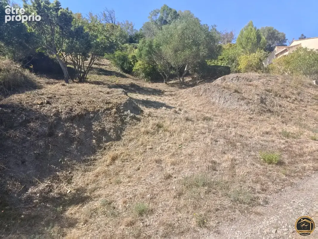 Terrain 2 038 m² à vendre à Cascastel-Des-Corbieres (11360) - photo 3