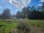 Terrain à MARTILLAC