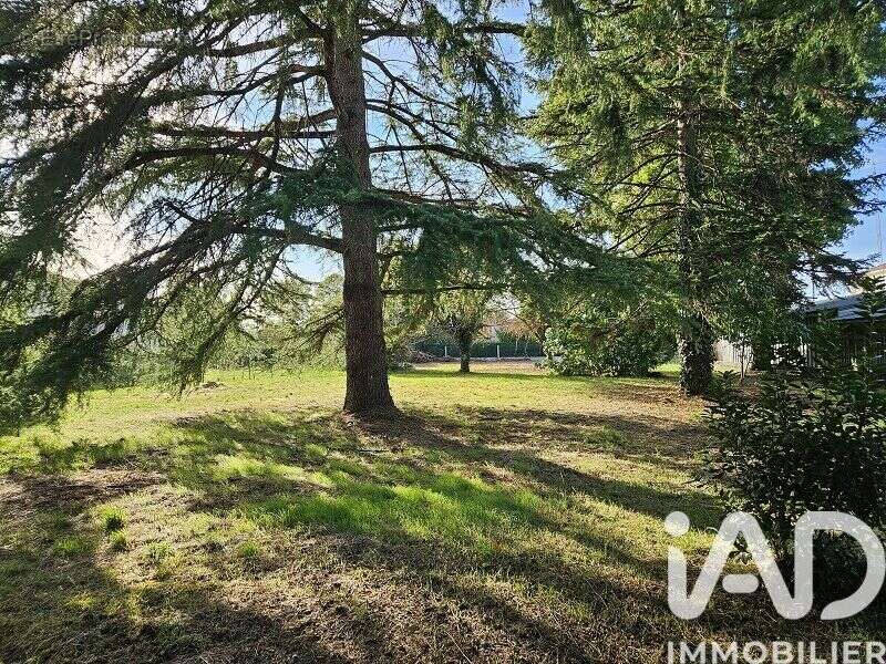 Photo 3 - Terrain à COUTRAS