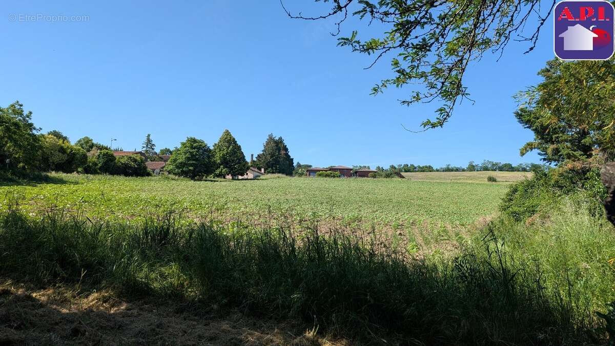 Maison 650 m² à Montgiscard  - photo 21