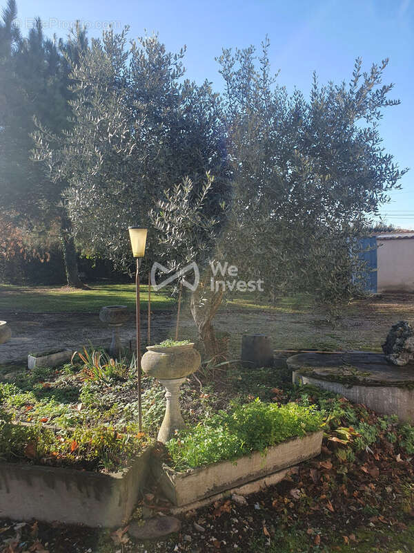 Maison 220 m² à Le Temple-Sur-Lot  - photo 3