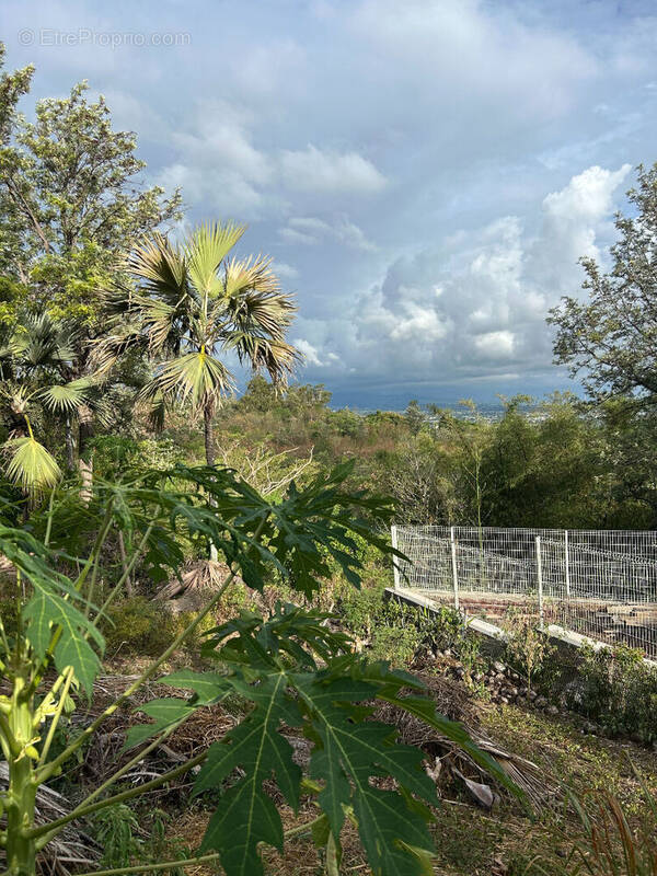 Terrain à L&#039;ETANG-SALE