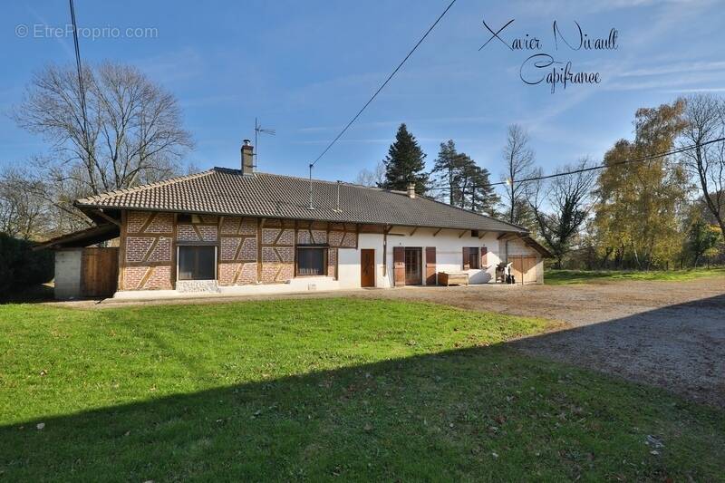 Maison à SAINT-AMOUR