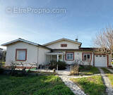 Maison à VILLENEUVE-TOLOSANE