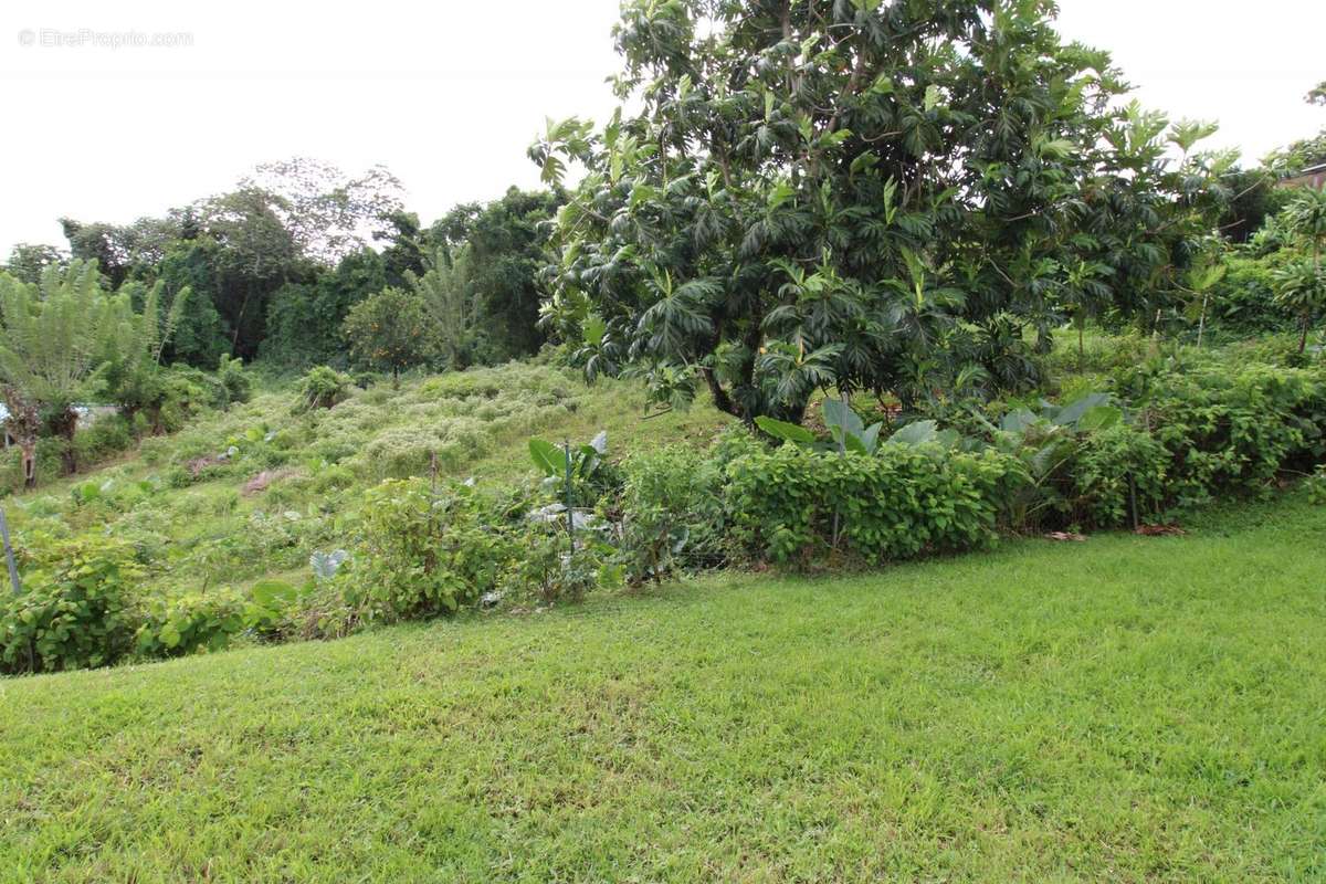 Terrain à SAINT-JOSEPH