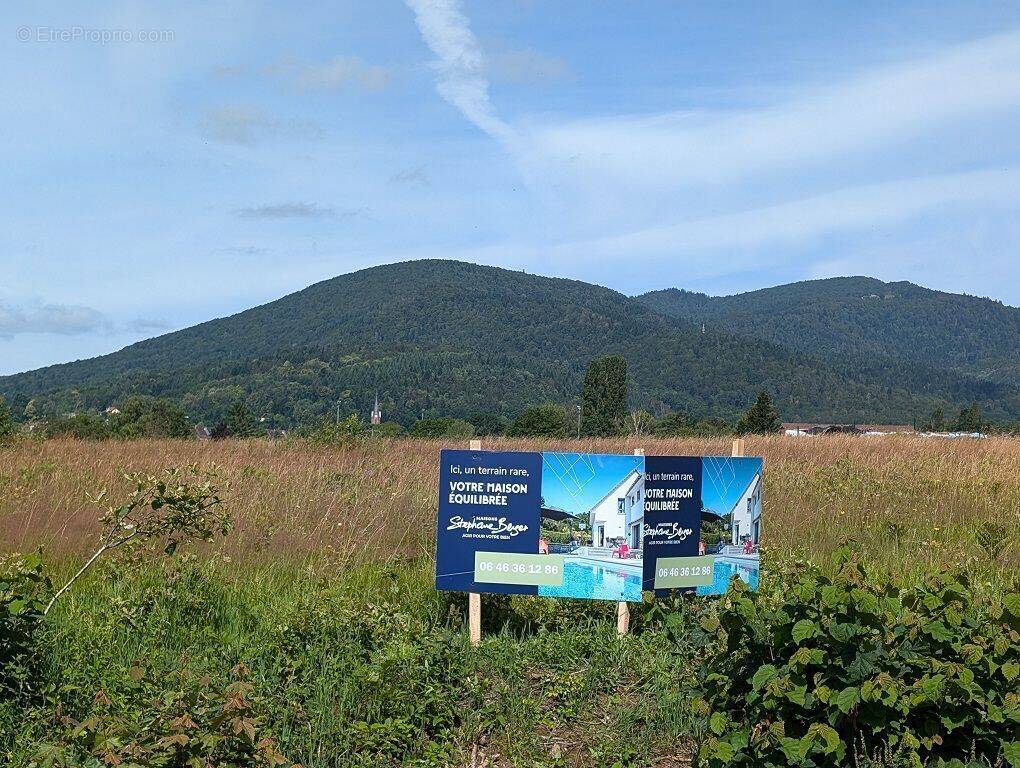 Terrain à VESCEMONT