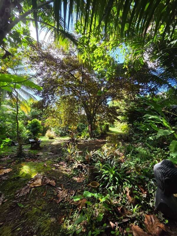 Maison à BAIE-MAHAULT