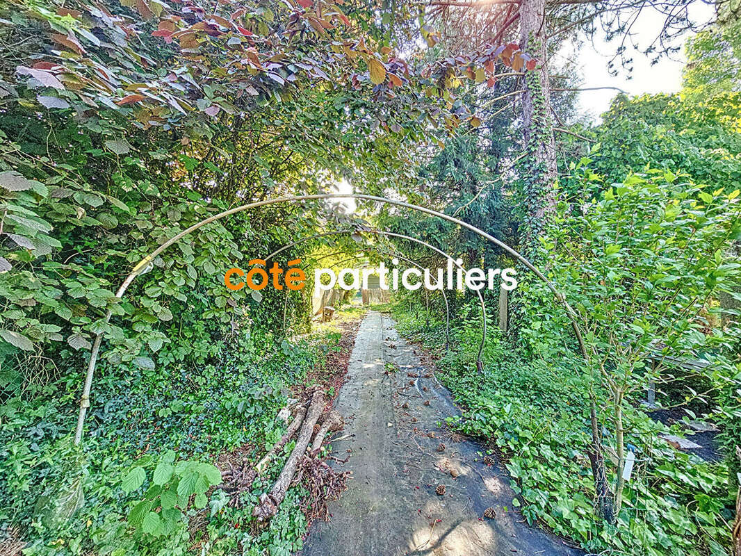 Commerce à LA CHAPELLE-D&#039;ARMENTIERES