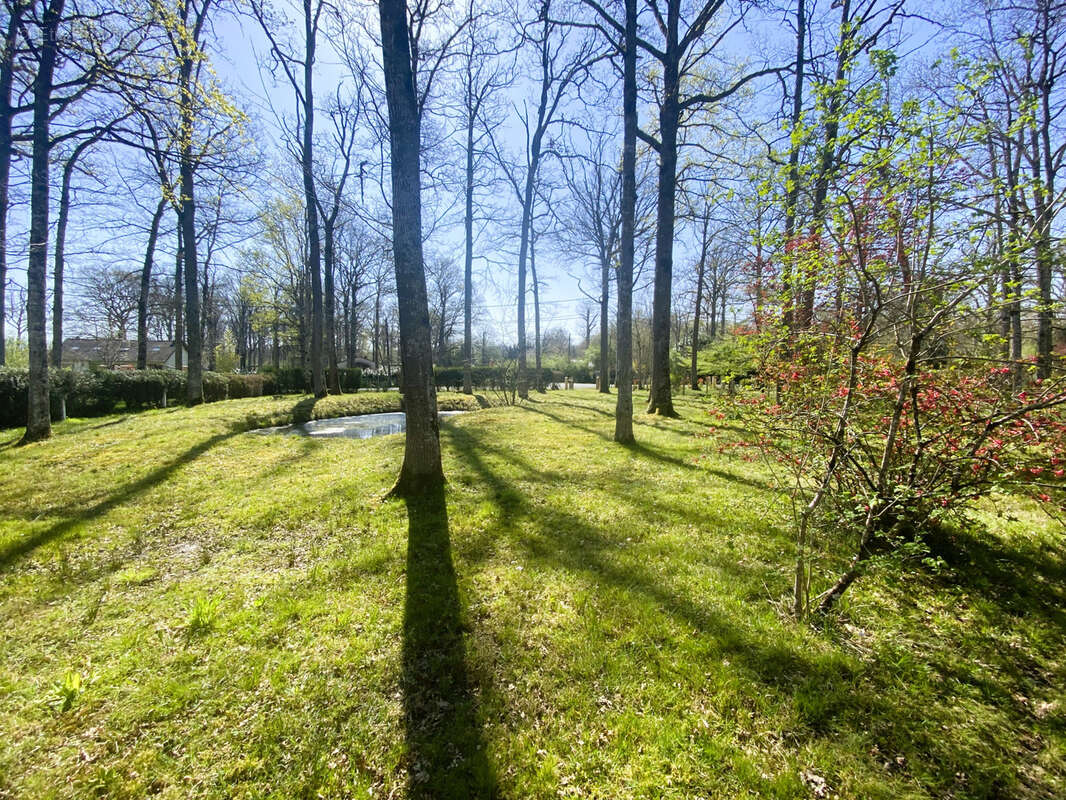 Maison à BAZOCHES-SUR-LE-BETZ