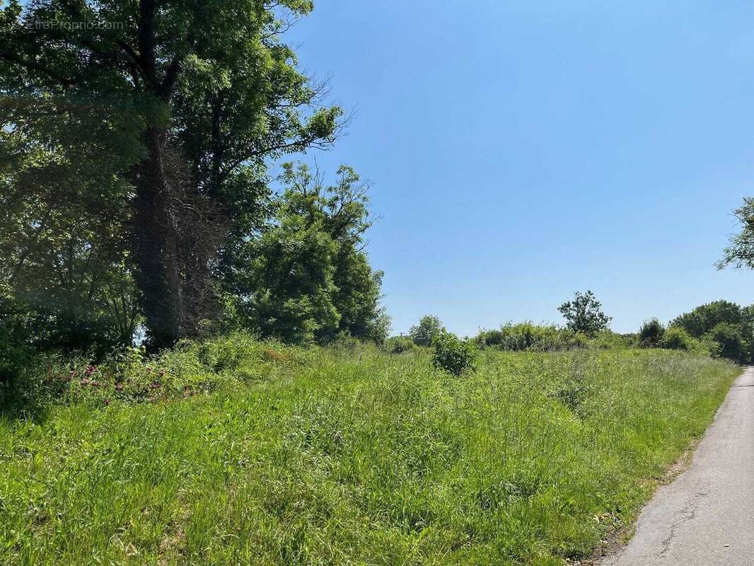 Terrain à SAINT-CYBARDEAUX