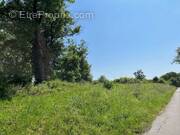 Terrain à SAINT-CYBARDEAUX