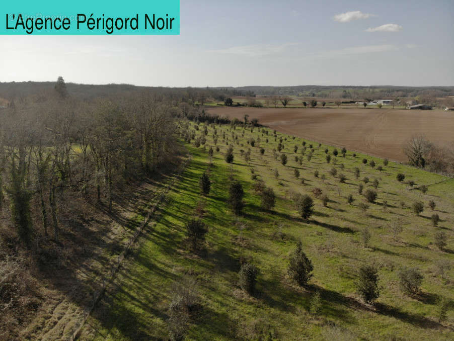 Terrain à CHAPDEUIL