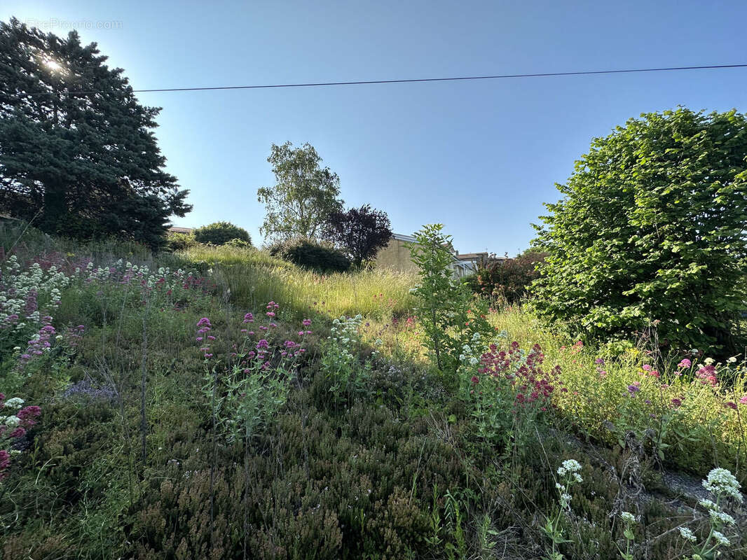 Photo 2 - Terrain à SAINT-JUST-LA-PENDUE