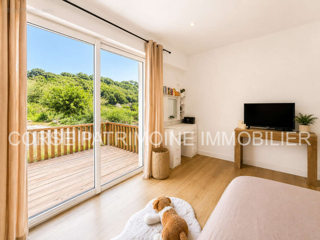 Maison composée de deux appartements indépendants sur les hauteurs de Folelli - photo 17