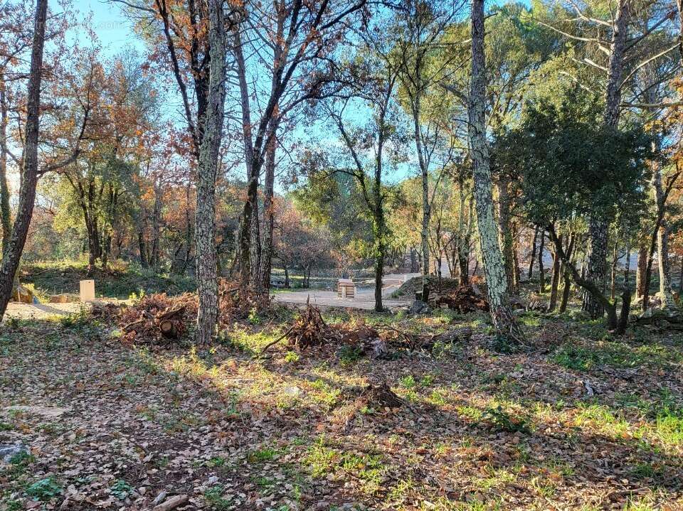 Terrain à BRIGNOLES