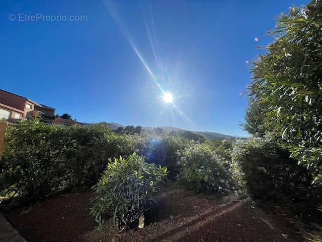Appartement à COLLIOURE