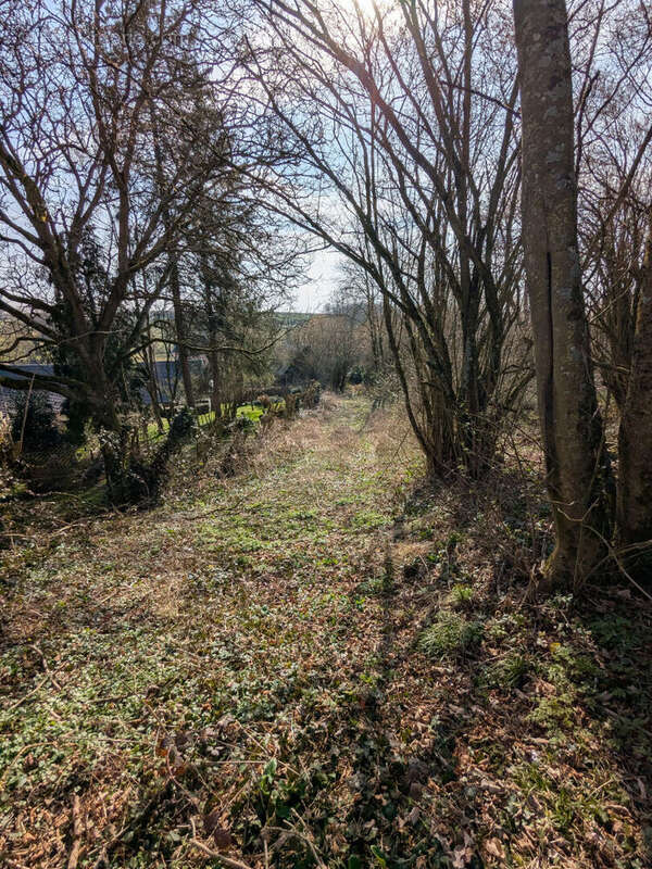 Maison à VIGNEUX-HOCQUET