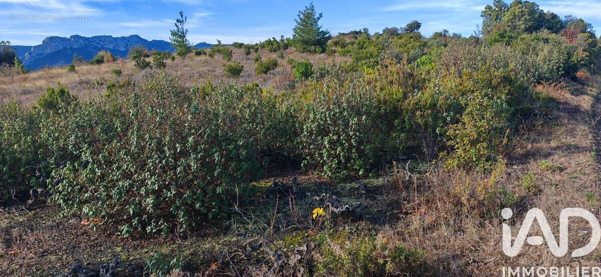 Photo 4 - Terrain à SAINT-PAUL-DE-FENOUILLET