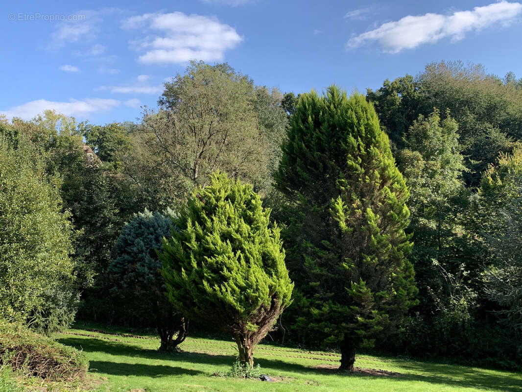 Maison à LE BREVEDENT