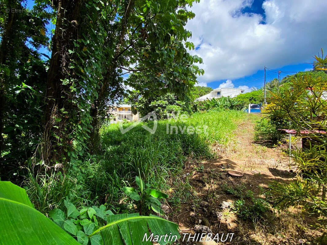 Terrain à LE LAMENTIN