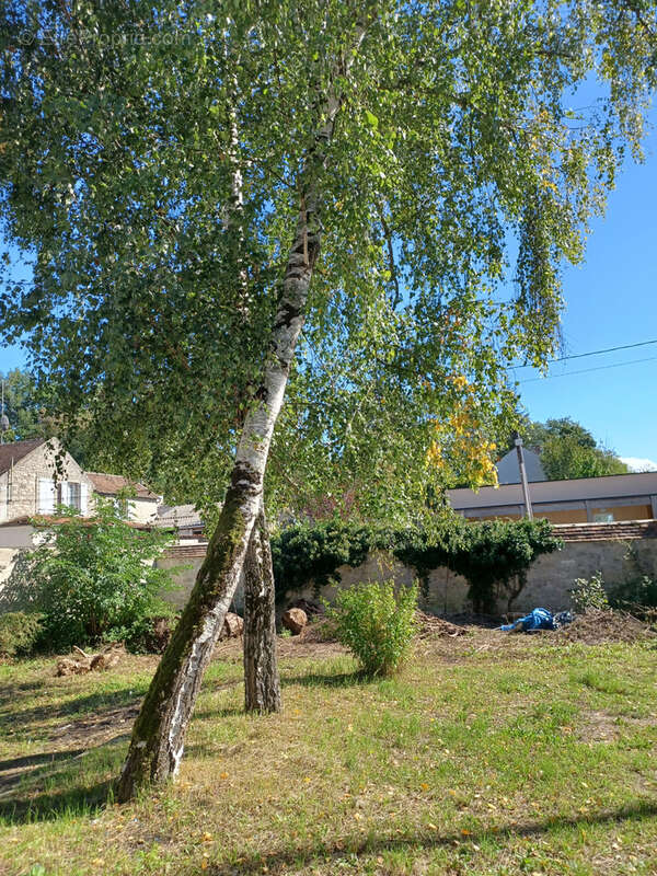 Maison à SOUPPES-SUR-LOING