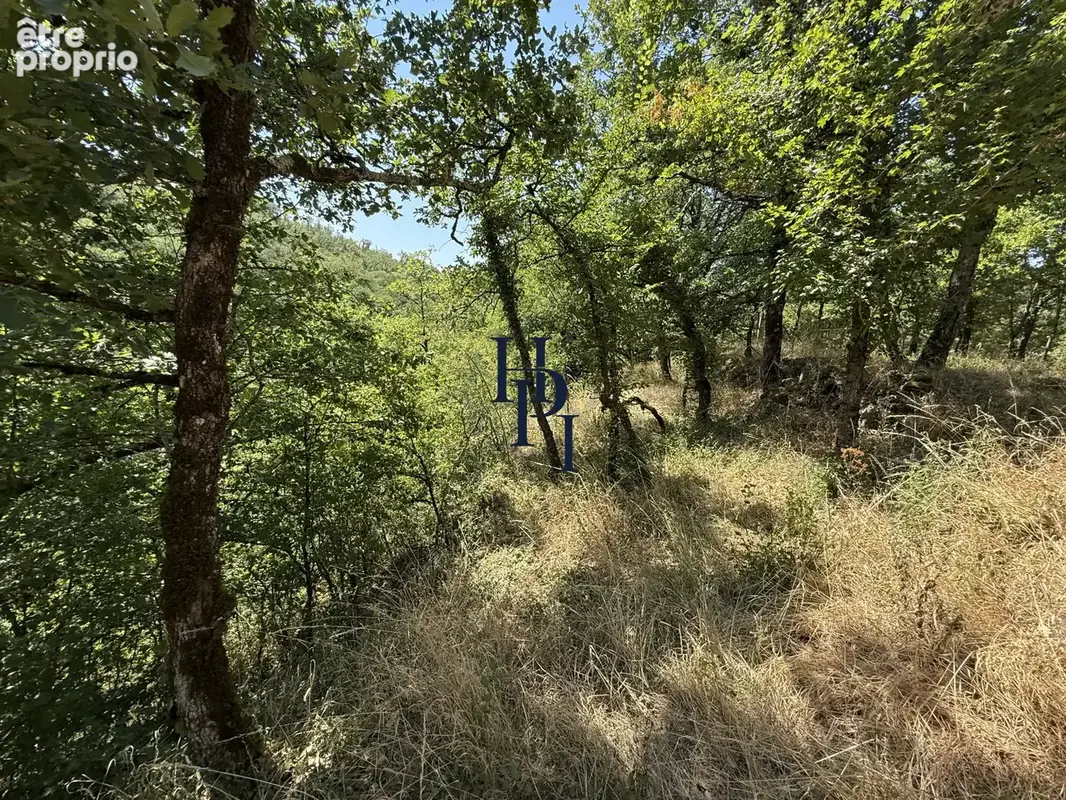 Vente Mazet sur 1,29 hectares de terrains bordé par ruisseau Saint Affrique, - photo 18