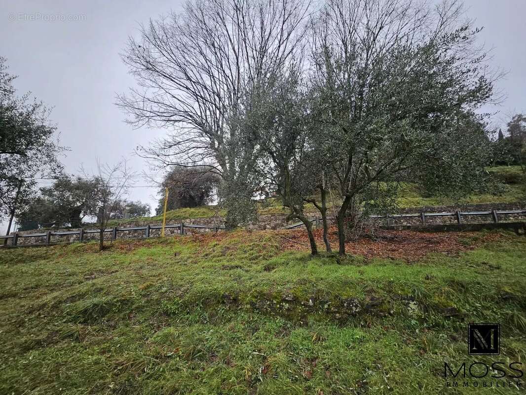 Terrain à BERRE-LES-ALPES