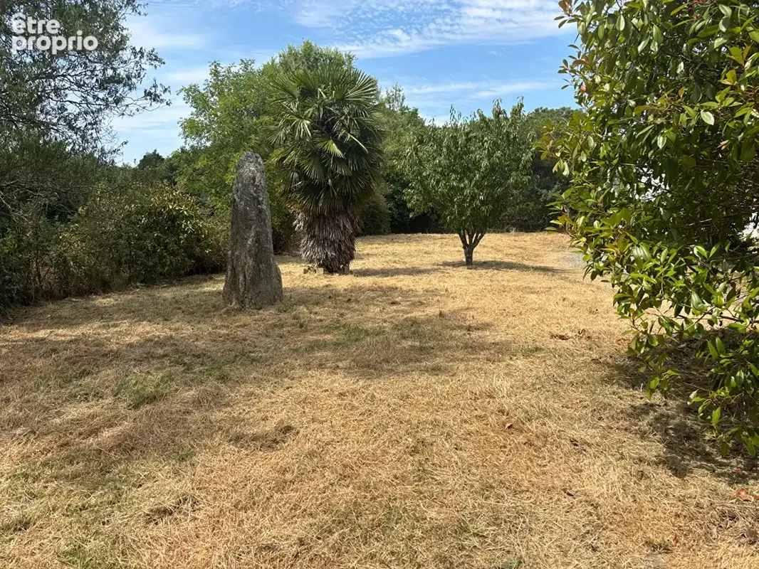 Terrain à MOELAN-SUR-MER