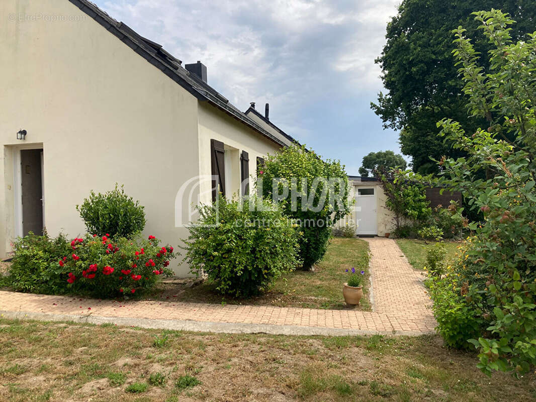 Savenay centre ville plain pied 4 chambres jardin garage - photo 2