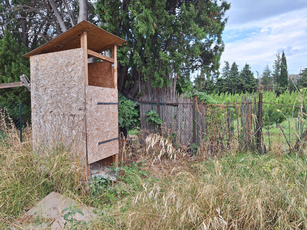 Terrain à ILLE-SUR-TET
