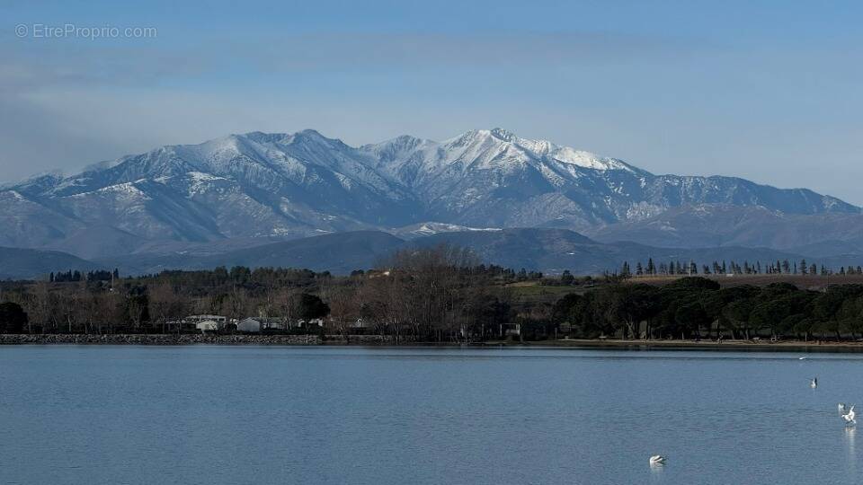 Terrain à VILLENEUVE-DE-LA-RAHO