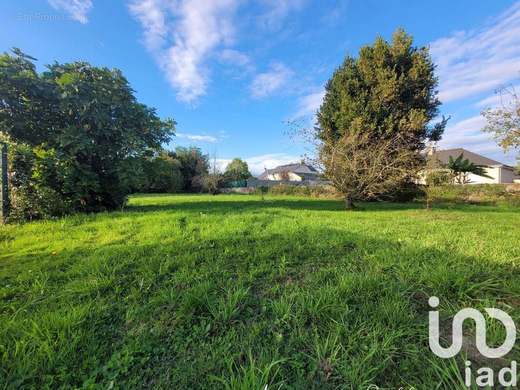 Photo 3 - Maison à ABBARETZ