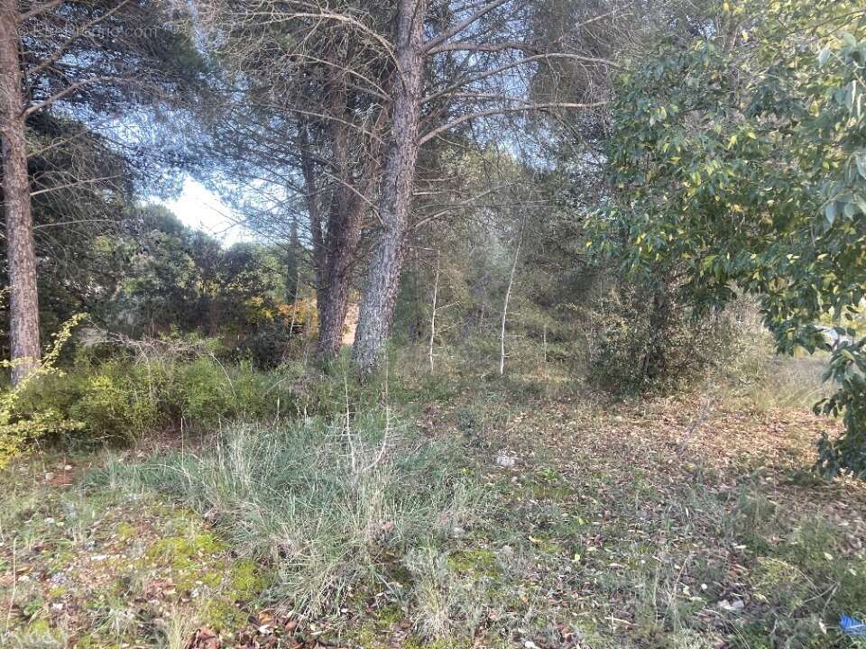 Terrain 901 m² à Alleins  - photo 4