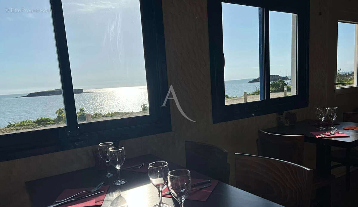 Commerce à PENESTIN